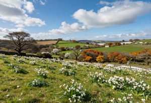 Cornwall