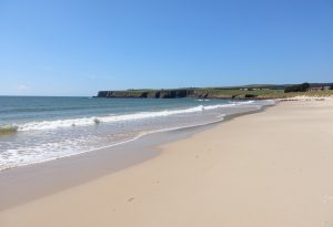 The Northumberland Coast